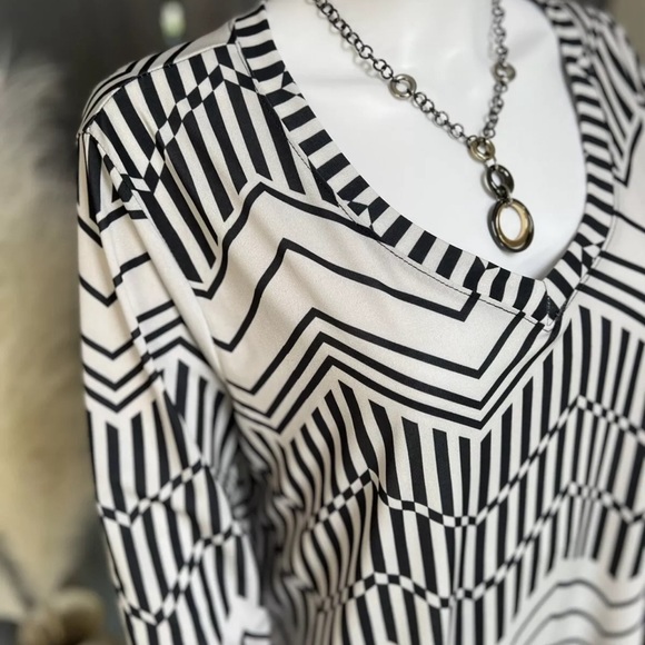 NWOT The Zig Zag Stripe Women’s Geometric Chevron Print Top Size Large Leng… - Picture 4 of 8
